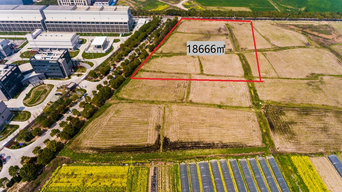 大金北28亩 - 副本.jpg